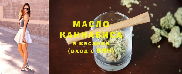 гидра Киреевск