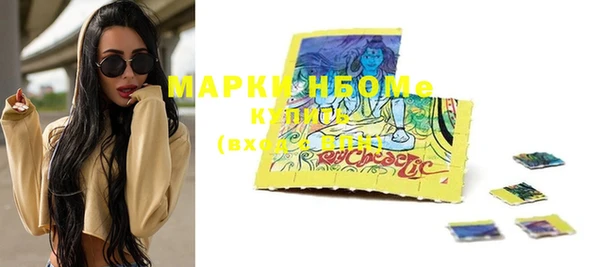 эйфоретик Тайга