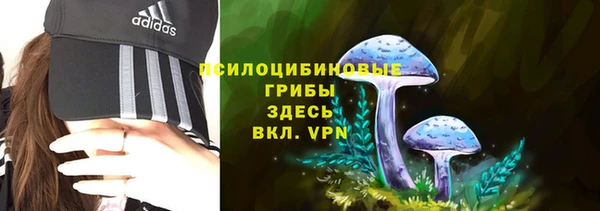 винт Тихвин