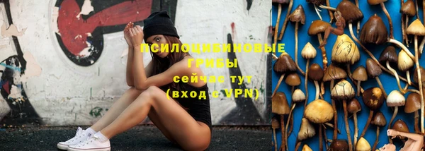 spice Тобольск