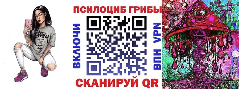 Купить  Чудово  Псилоцибиновые грибы Psilocybine cubensis 